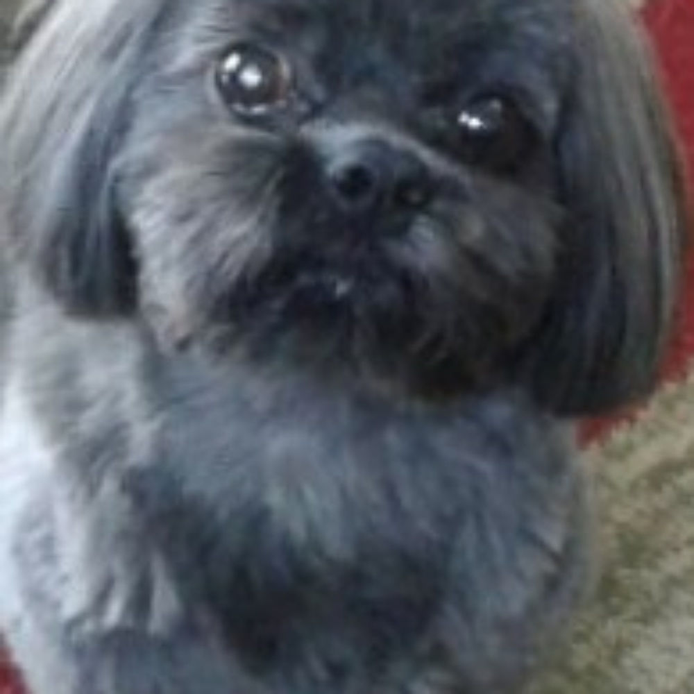 Meet your Posher, Linda